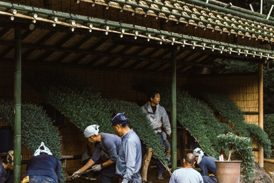 Strani radnici - profesionalno posredovanje pri zapošljavanju